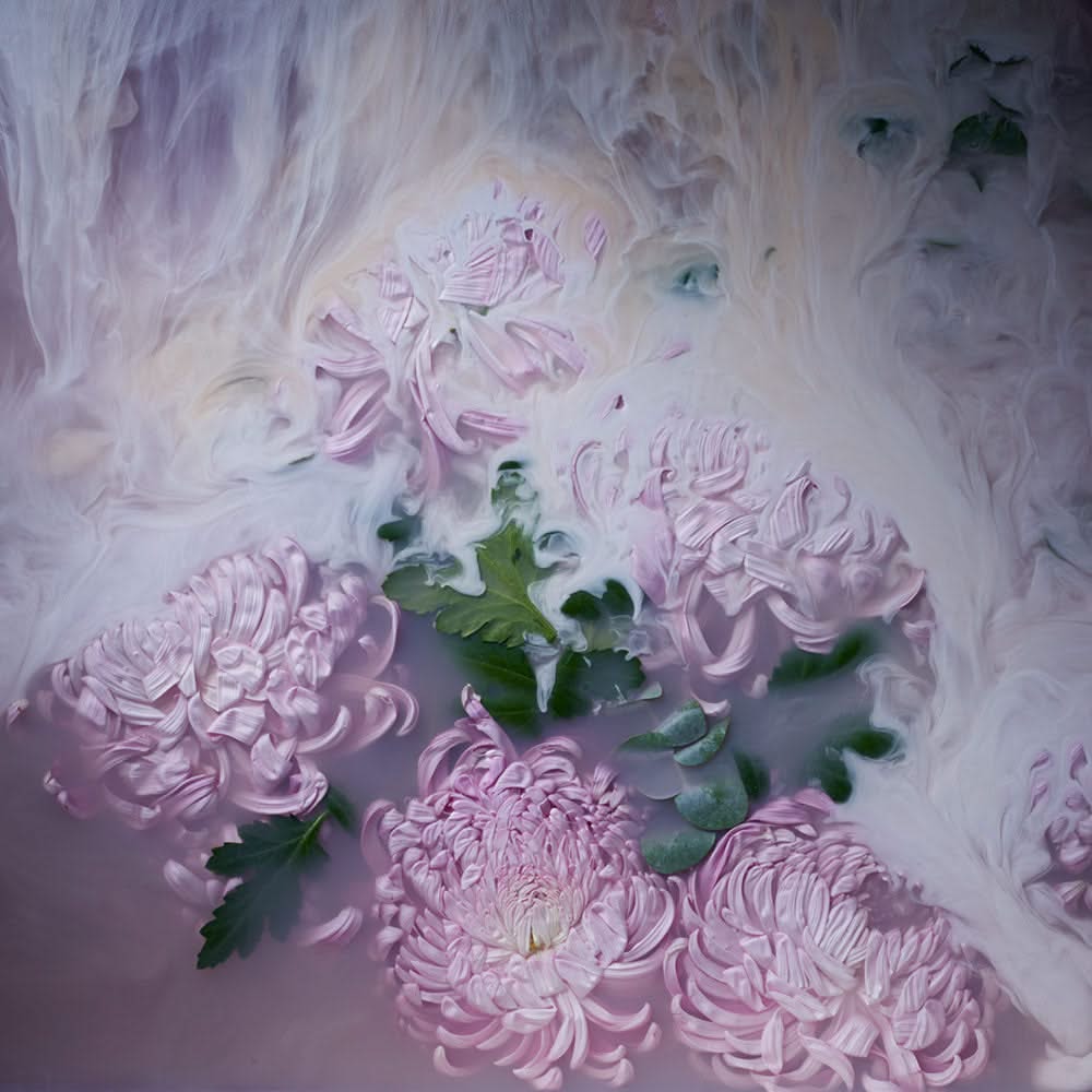 Amethyst Floral Wall Mural Print by artist Georgie Maylon