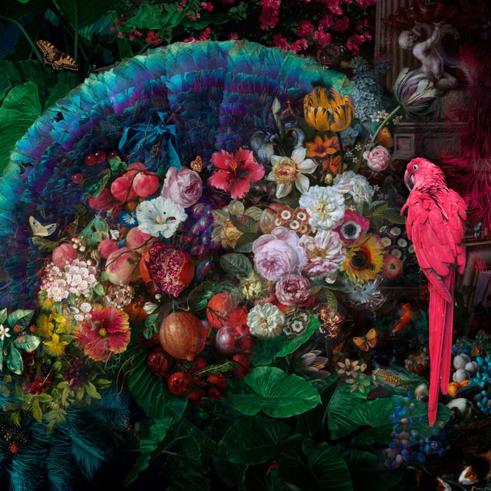 Beauty's Banquet Tropical Parrot Wall Mural by Back to the Wall