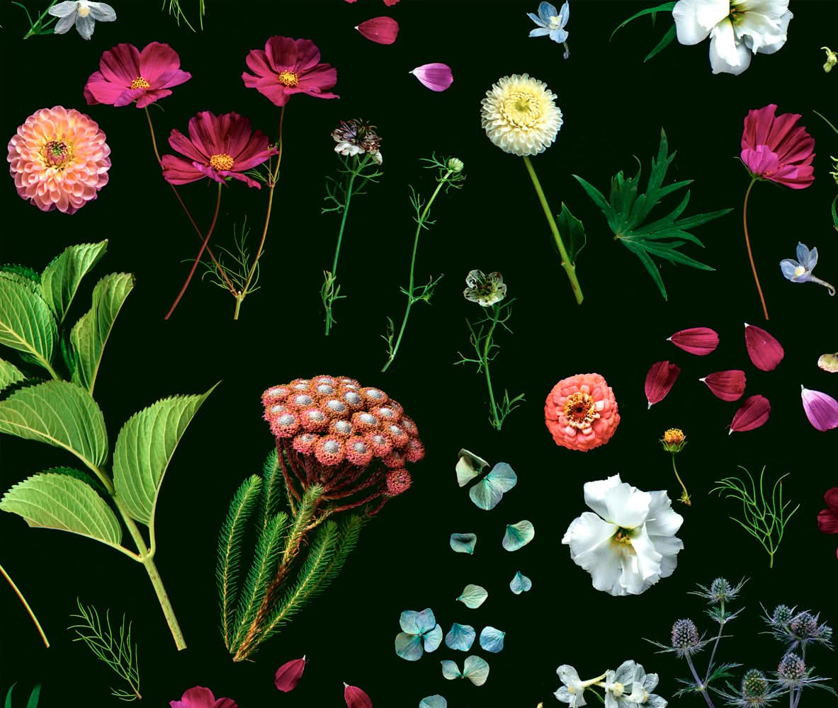 Country Garden