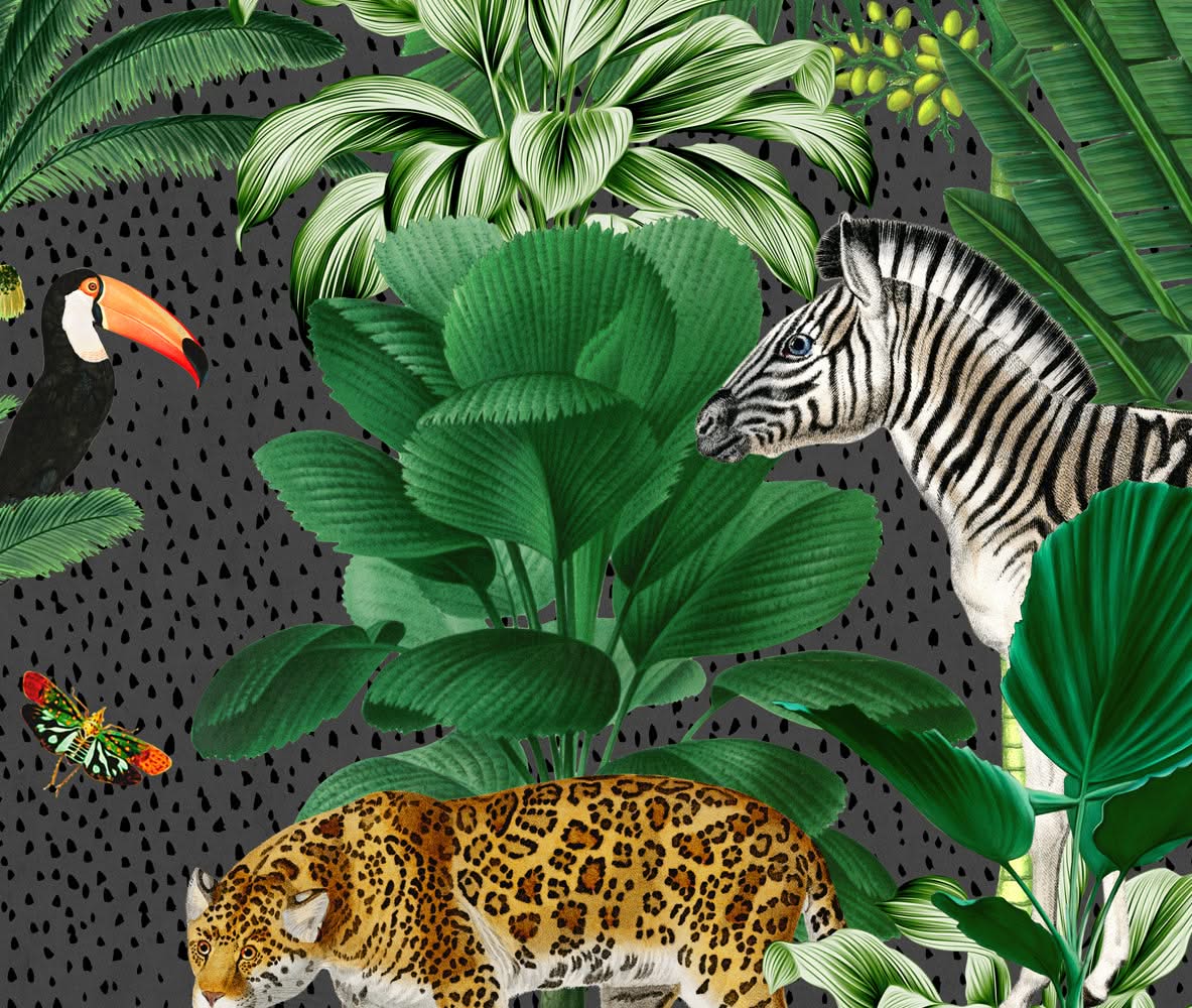 In the Jungle Jungle