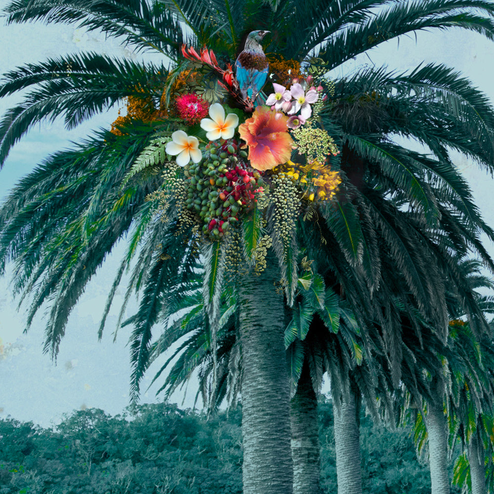 Floral Palm NZ