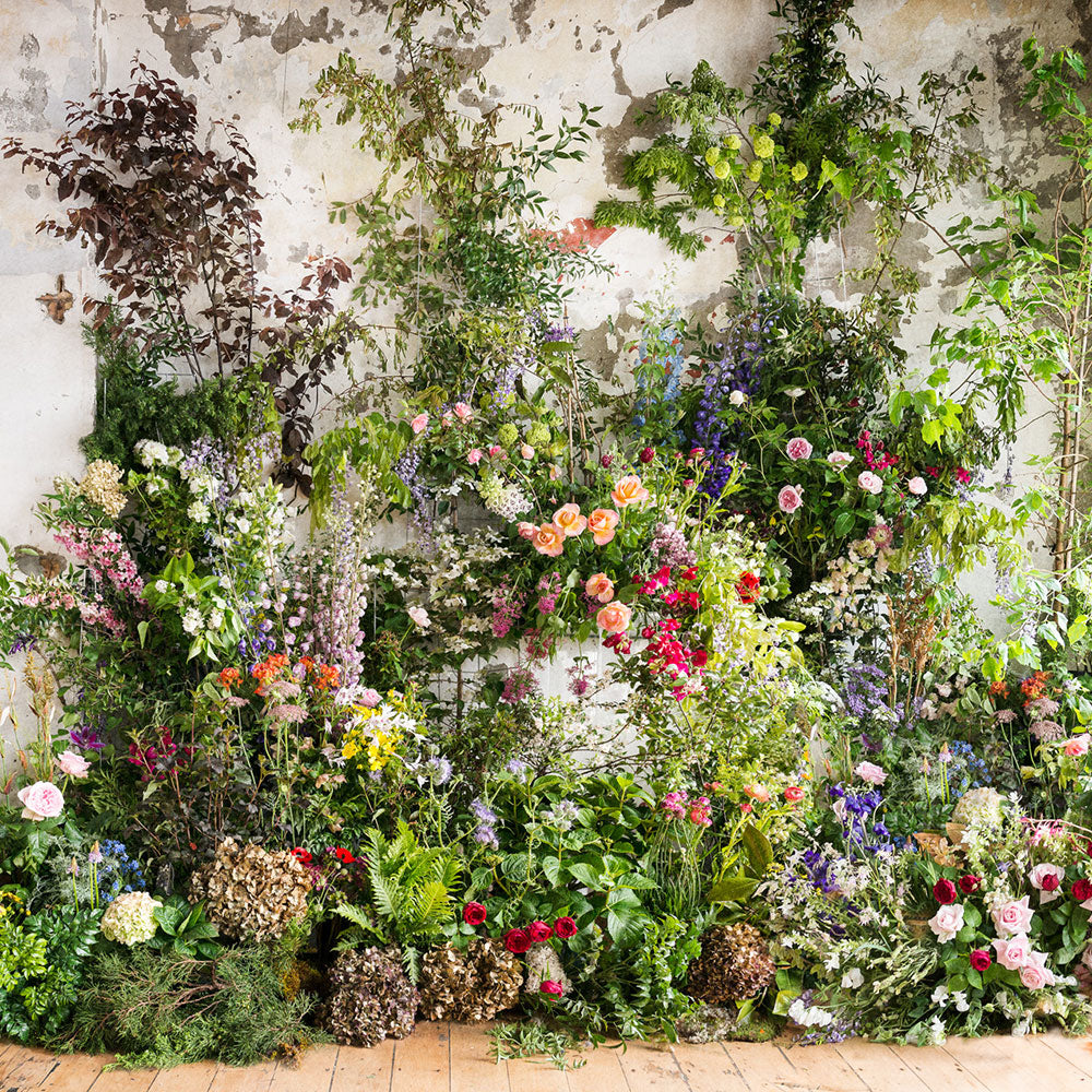 Wall Flowers Wallpaper & Murals by Helen Bankers Photographer