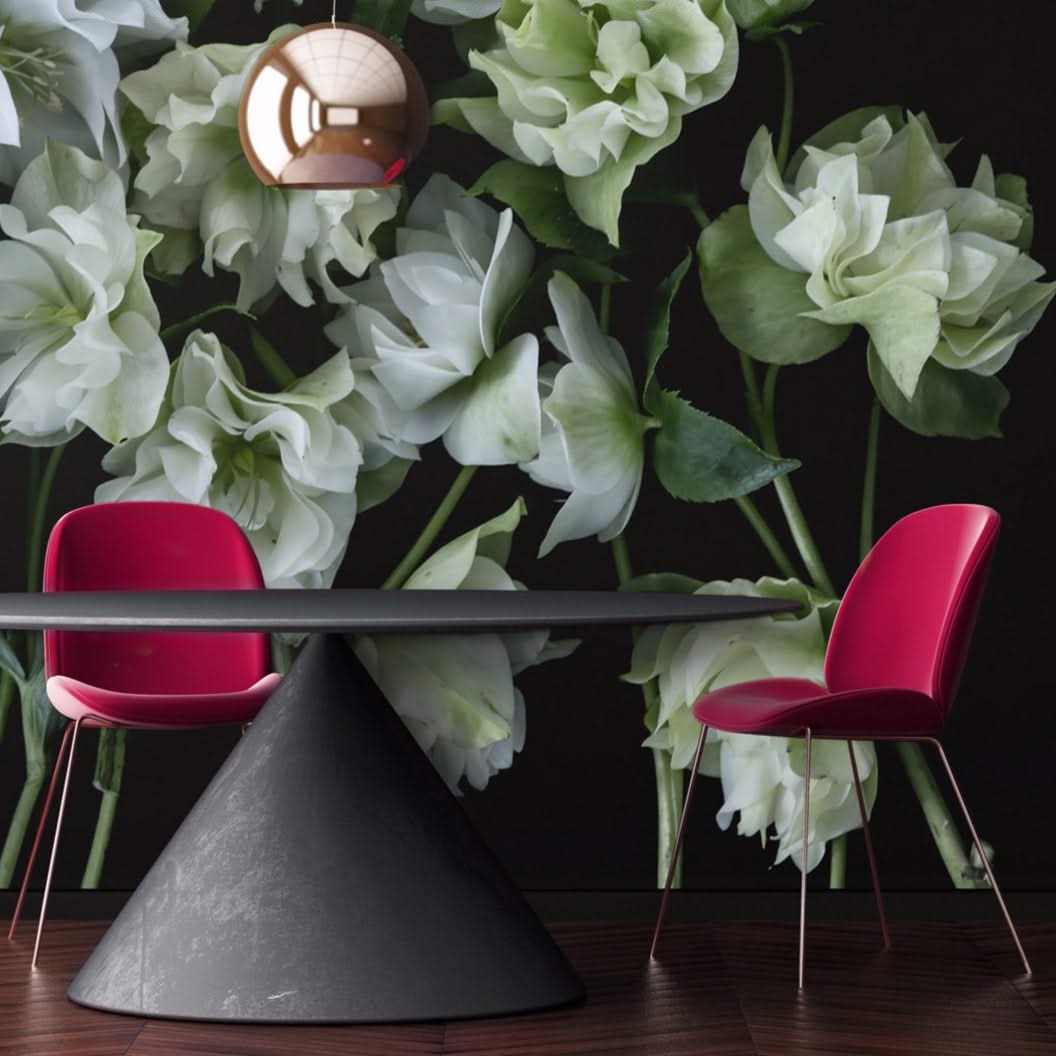 Double White Helebores