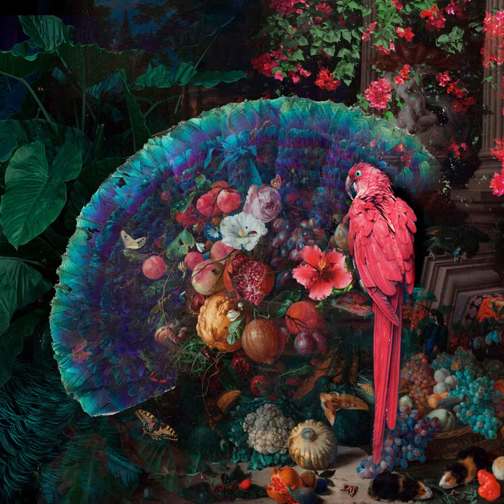 Beauty's Banquet Tropical Parrot Wall Mural by Back to the Wall