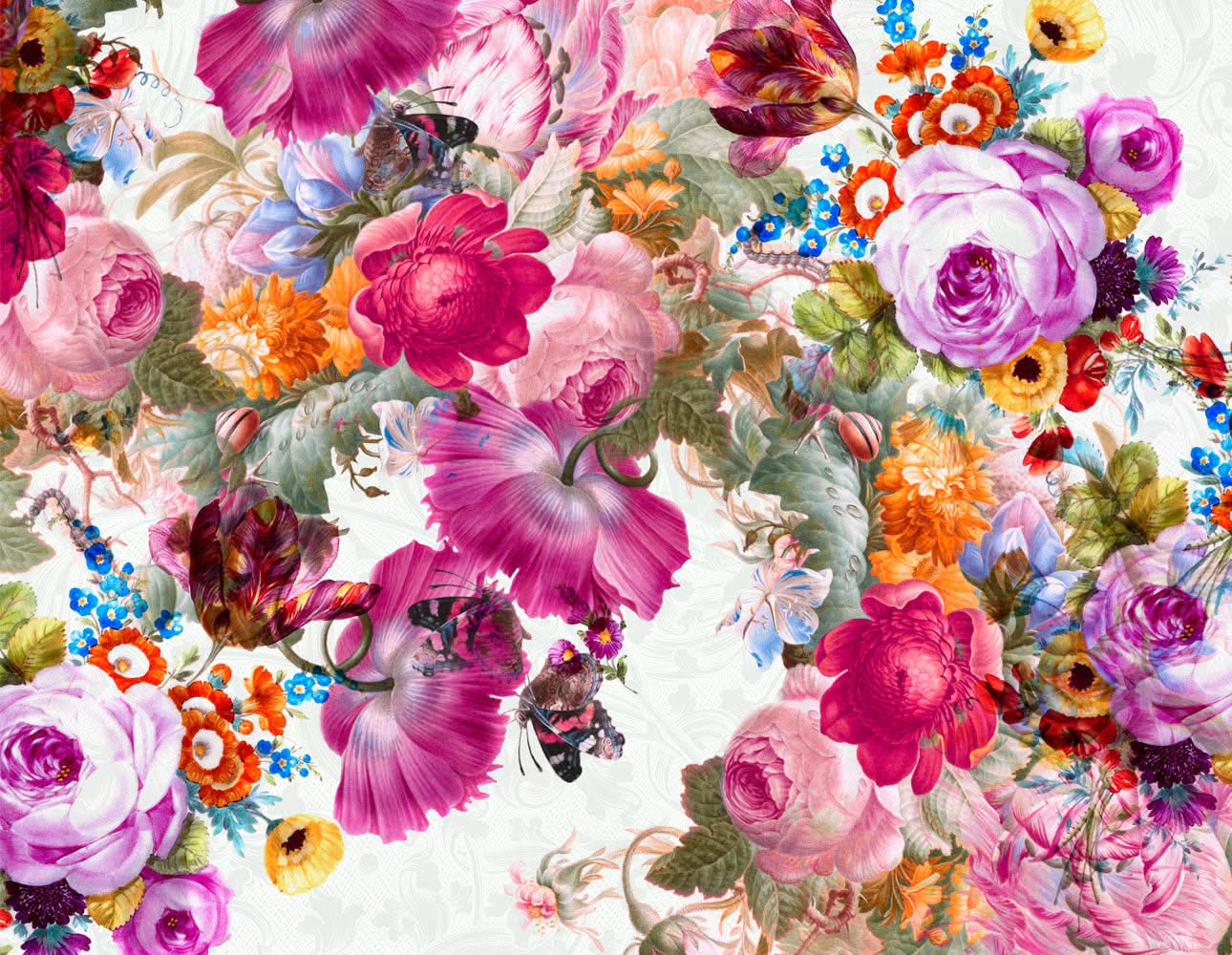 Bloom Boom Kohler | Large Floral Wall Mural by Back to the Wall