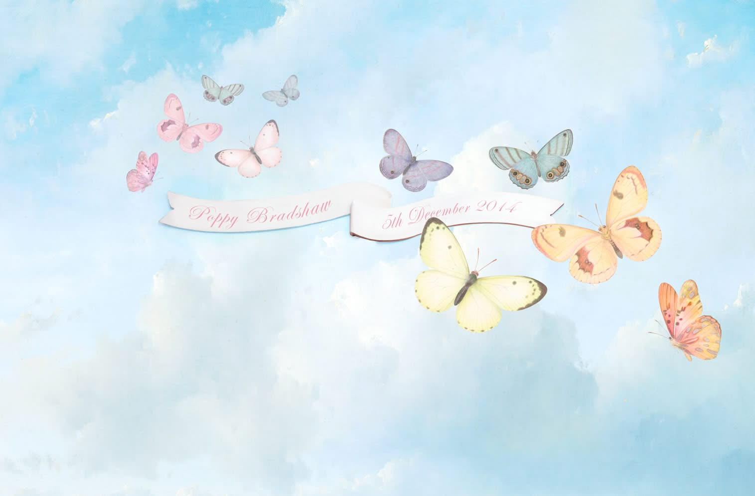 Butterfly Sky Monogram Wall Mural by Back to the Wall