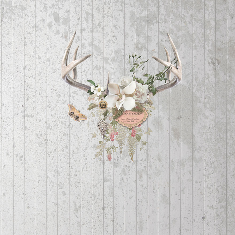 Champagne & Antlers Wall Mural by Back to the Wall
