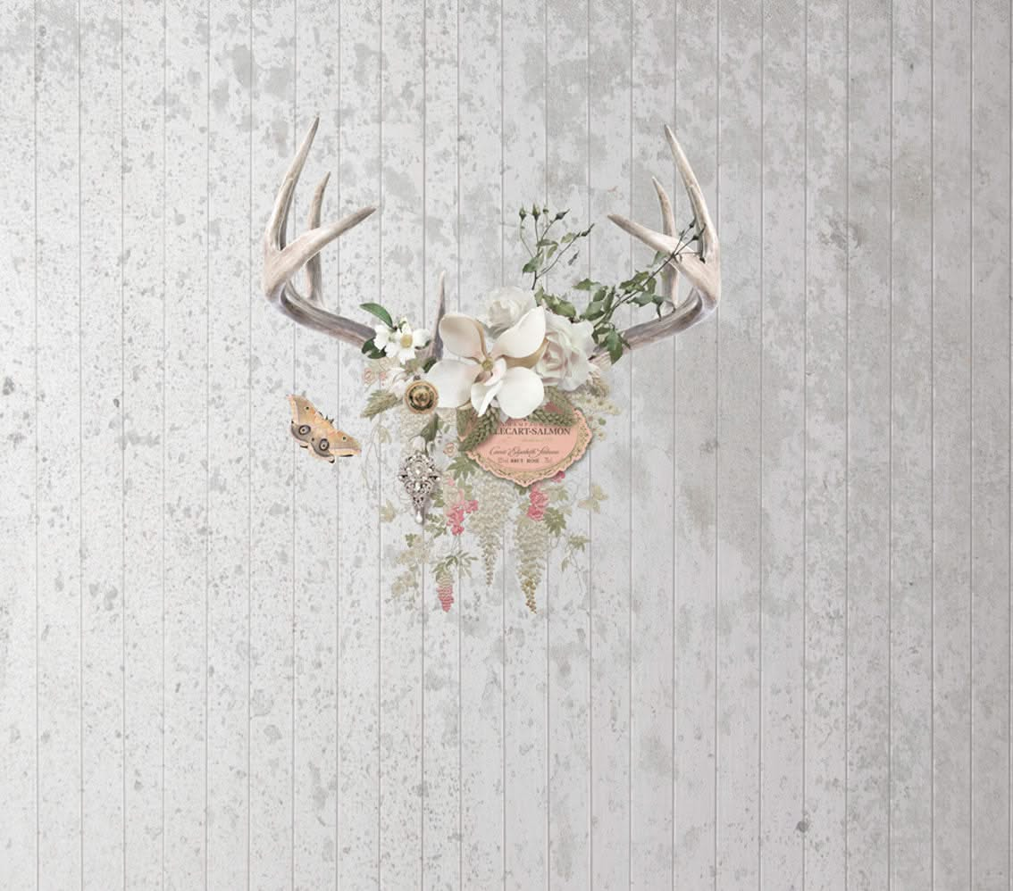 Champagne & Antlers Wall Mural by Back to the Wall