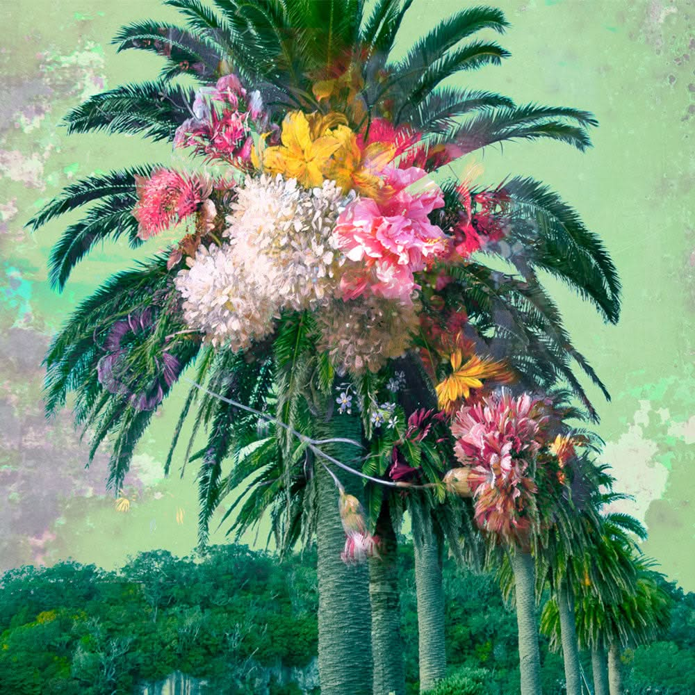 Floral Palm | Wall Mural by Back to the Wall