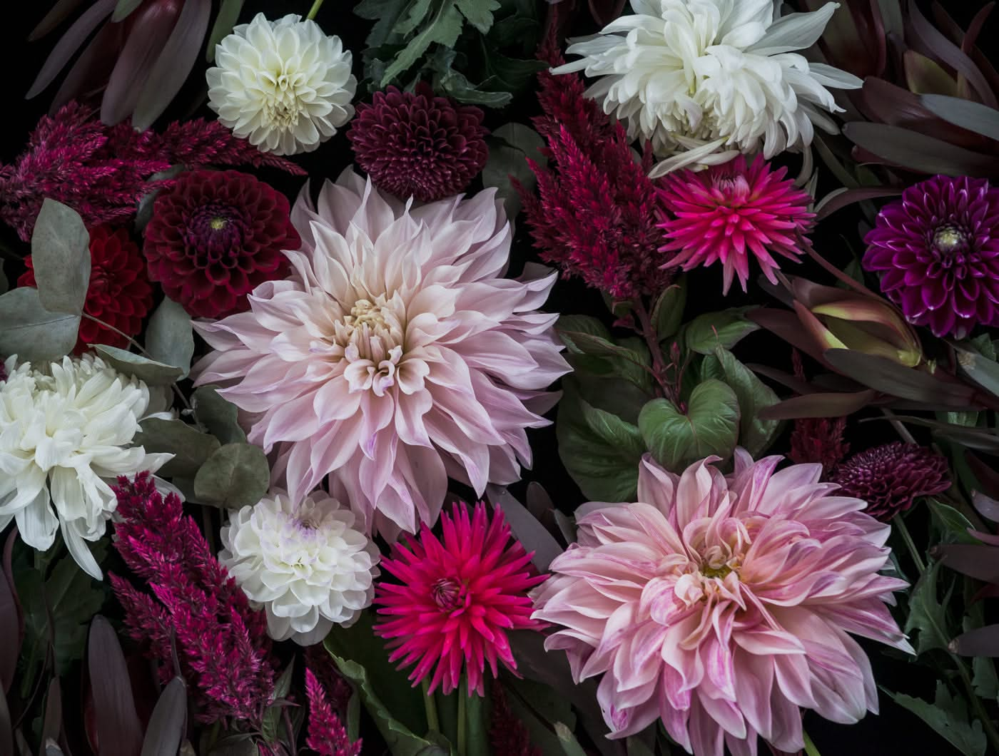 Dark Dahlias mural by Helen Bankers