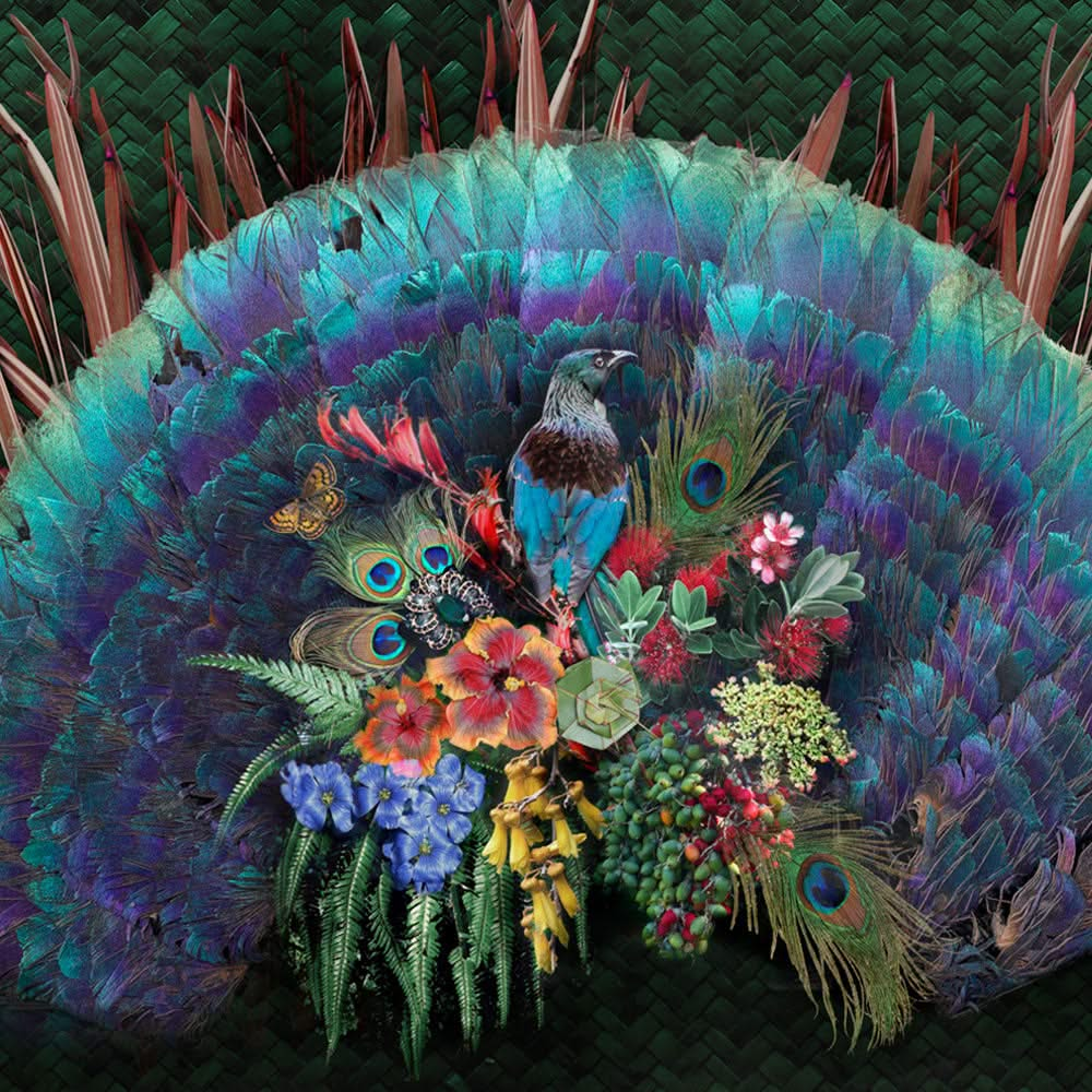 Peacock Flax &amp; Flowers | Wall Mural by Back to the Wall