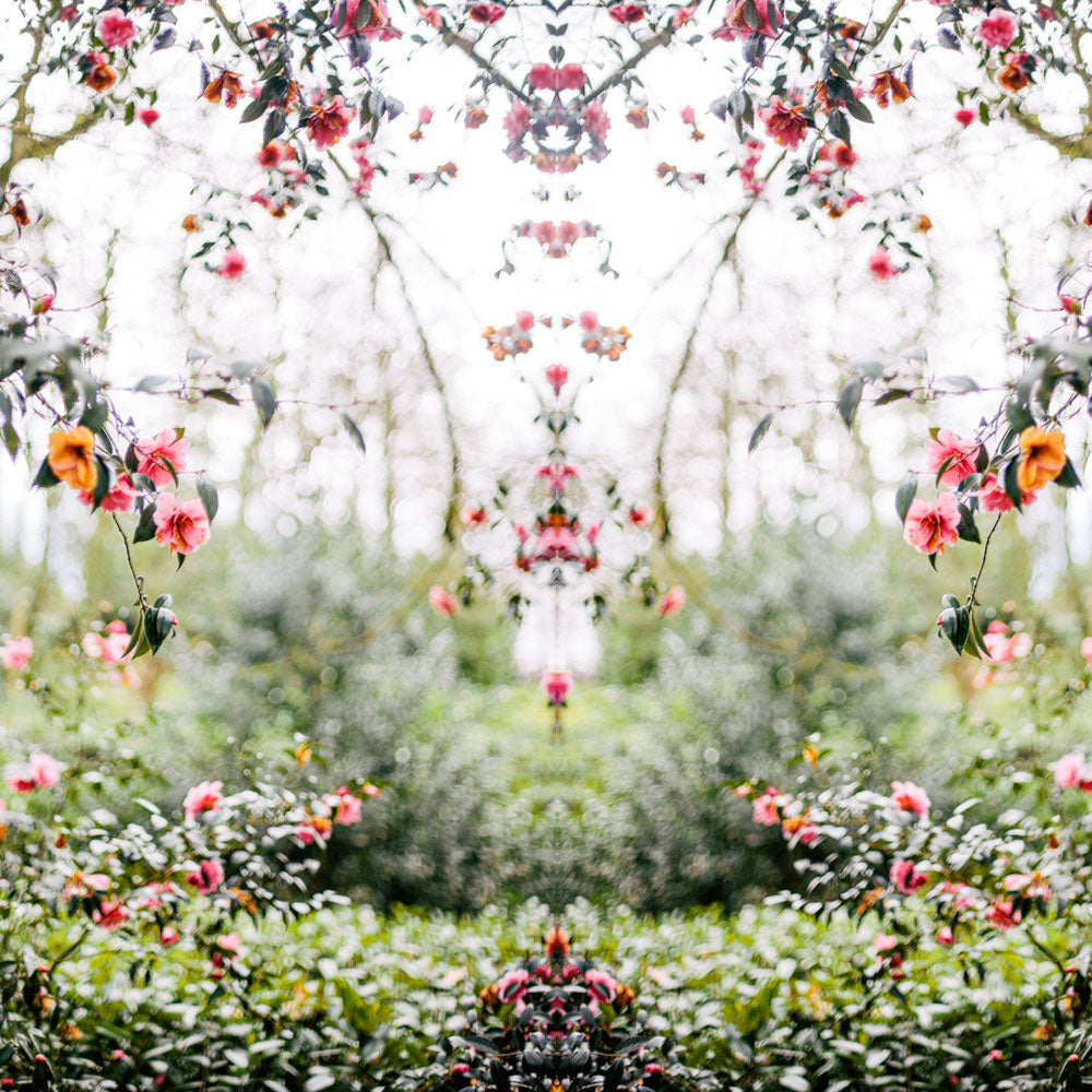 Secret Garden Setting | Wall Mural by Back to the Wall