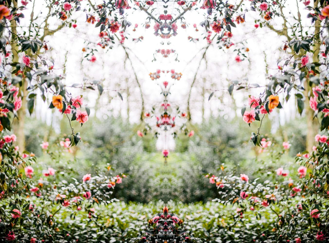 Secret Garden Setting | Wall Mural by Back to the Wall