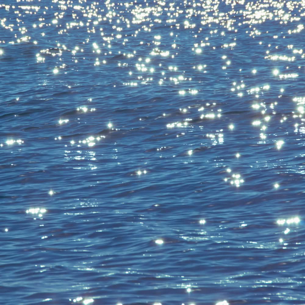 Shimmering Water Wall Mural by Back to the Wall