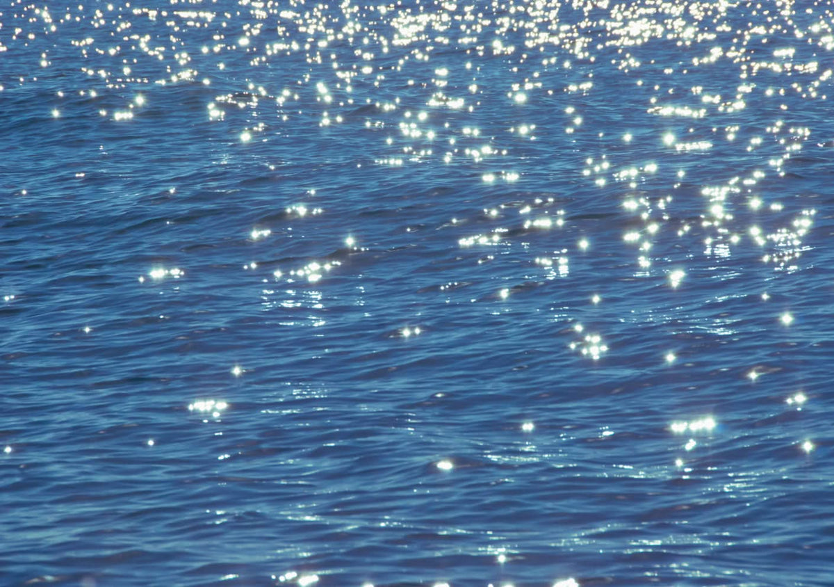 Shimmering Water Wall Mural by Back to the Wall