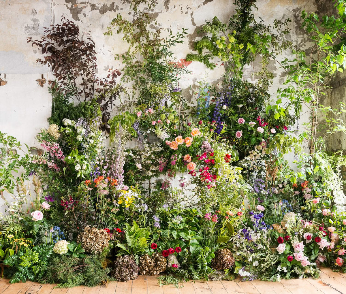 Wall Flowers Wallpaper & Murals by Helen Bankers Photographer