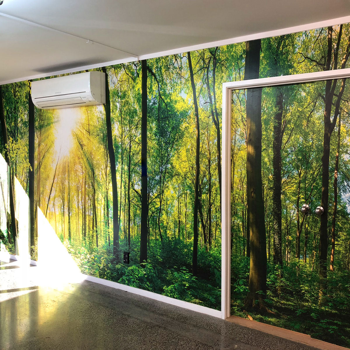 Native Forest Custom Wall Mural for an Office by Back to the Wall