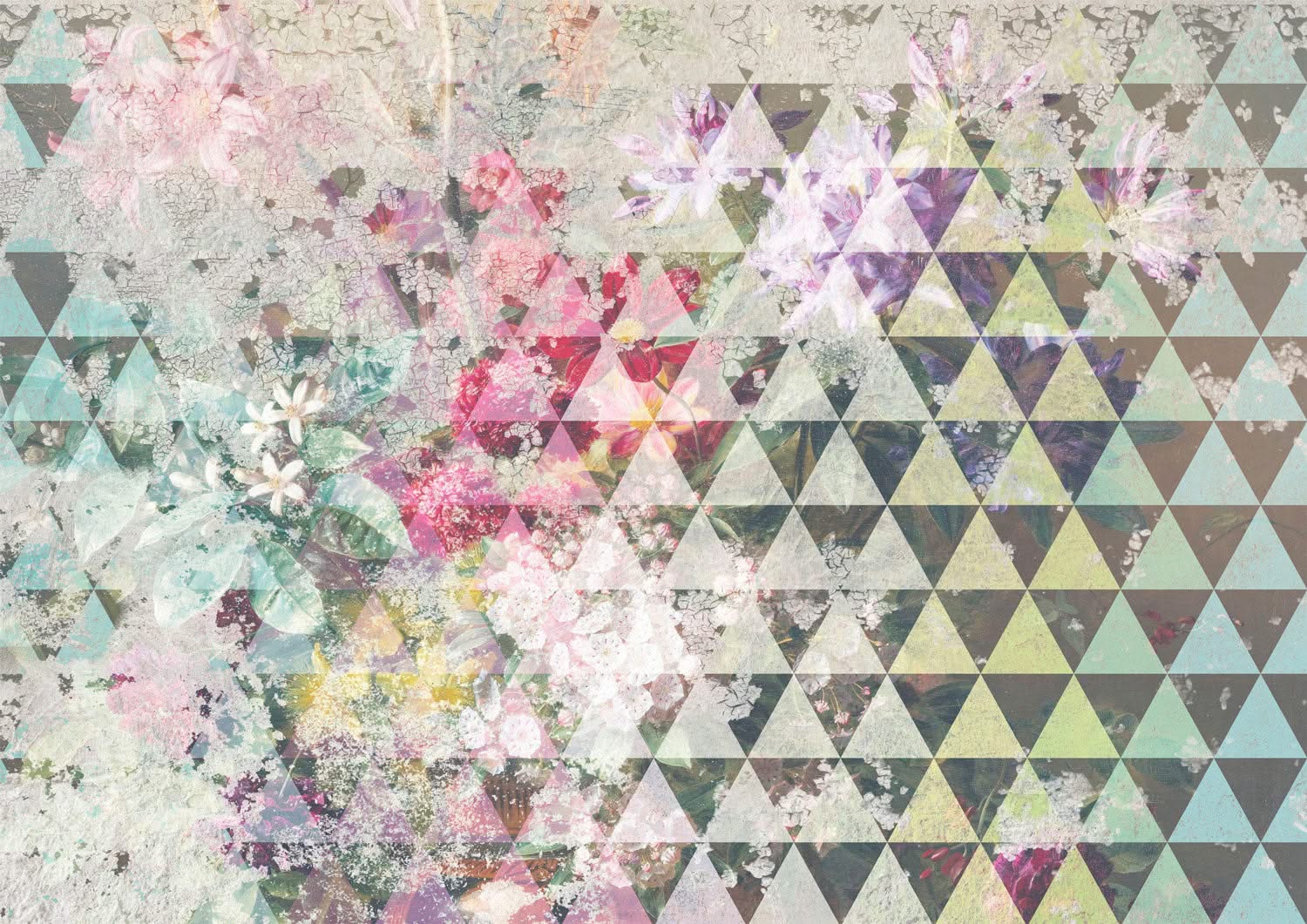Tri Floral Geometric Wall Mural by Back to the Wall - Back To The Wall
